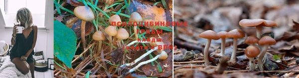 кокаин Алзамай