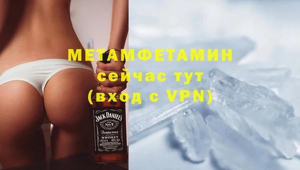 индика Арсеньев