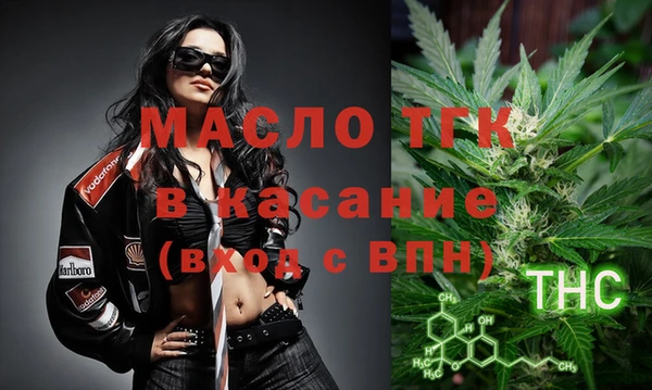 индика Арсеньев