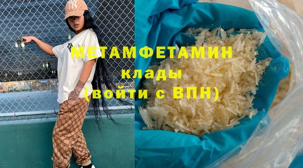 индика Арсеньев