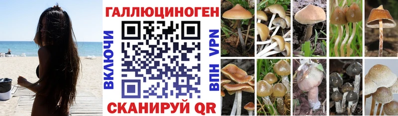 Галлюциногенные грибы прущие грибы  Родники 