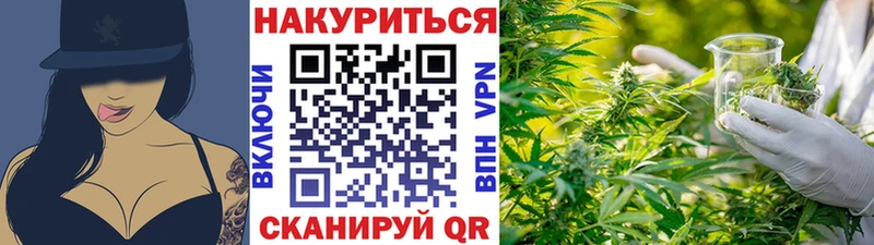 Бошки марихуана план  площадка состав  Родники 